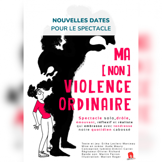 Spectacle Ma NonViolence Ordinaire 2